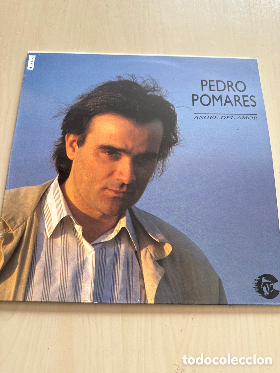 Discos de vinilo: VIN7800 Pedro pomares &aacute;ngel del amor VINILO DE SEGUNDAMANO