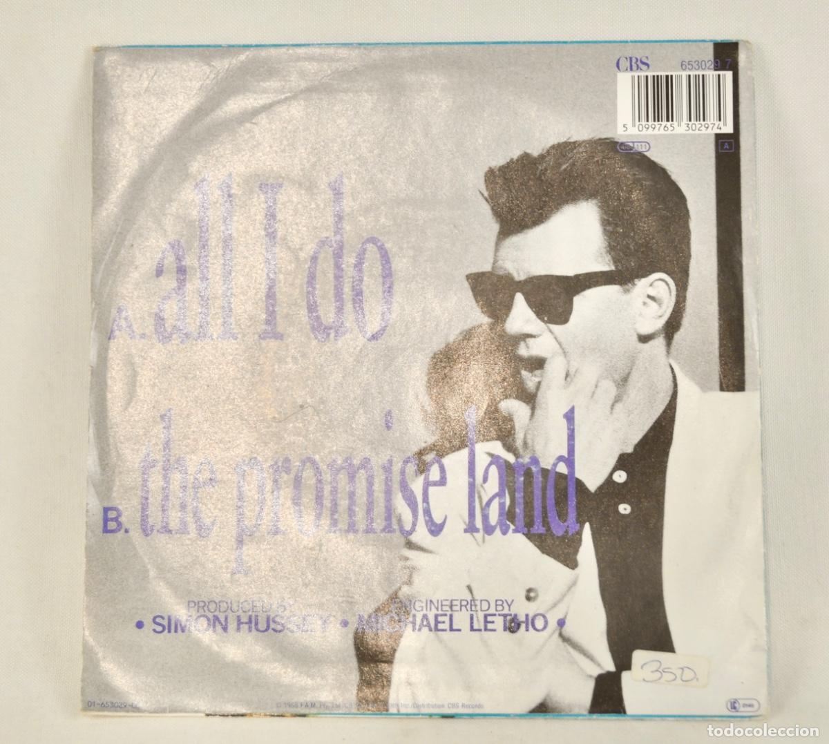 Discos de vinilo: Daryl Braithwaite - all I do - Foto 2