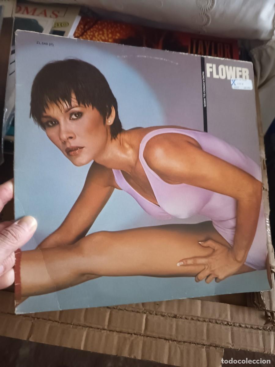 Discos de vinilo: LP FLOWER,( SPAIN 1981)