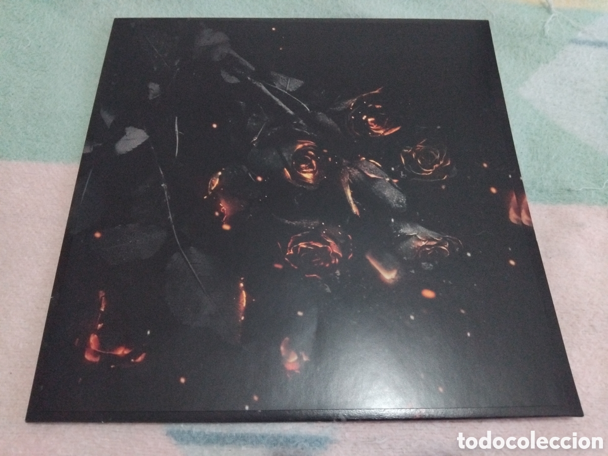 Discos de vinilo: ALAZKA PHOENIX ( vinilo) LP - Foto 4