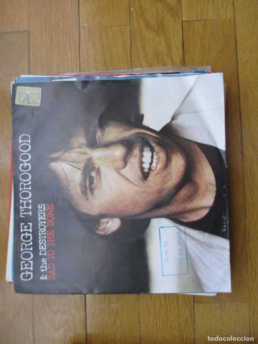 Discos de vinilo: GEORGE THOROGOOD AND THE DESTROYERS - BAD TO THE BONE