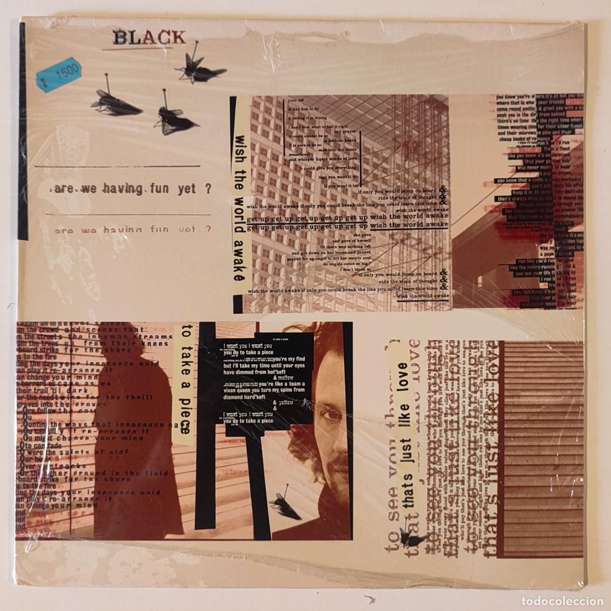 Discos de vinilo: Are We Having Fun Yet? - Black - 1993 &ndash; Spain