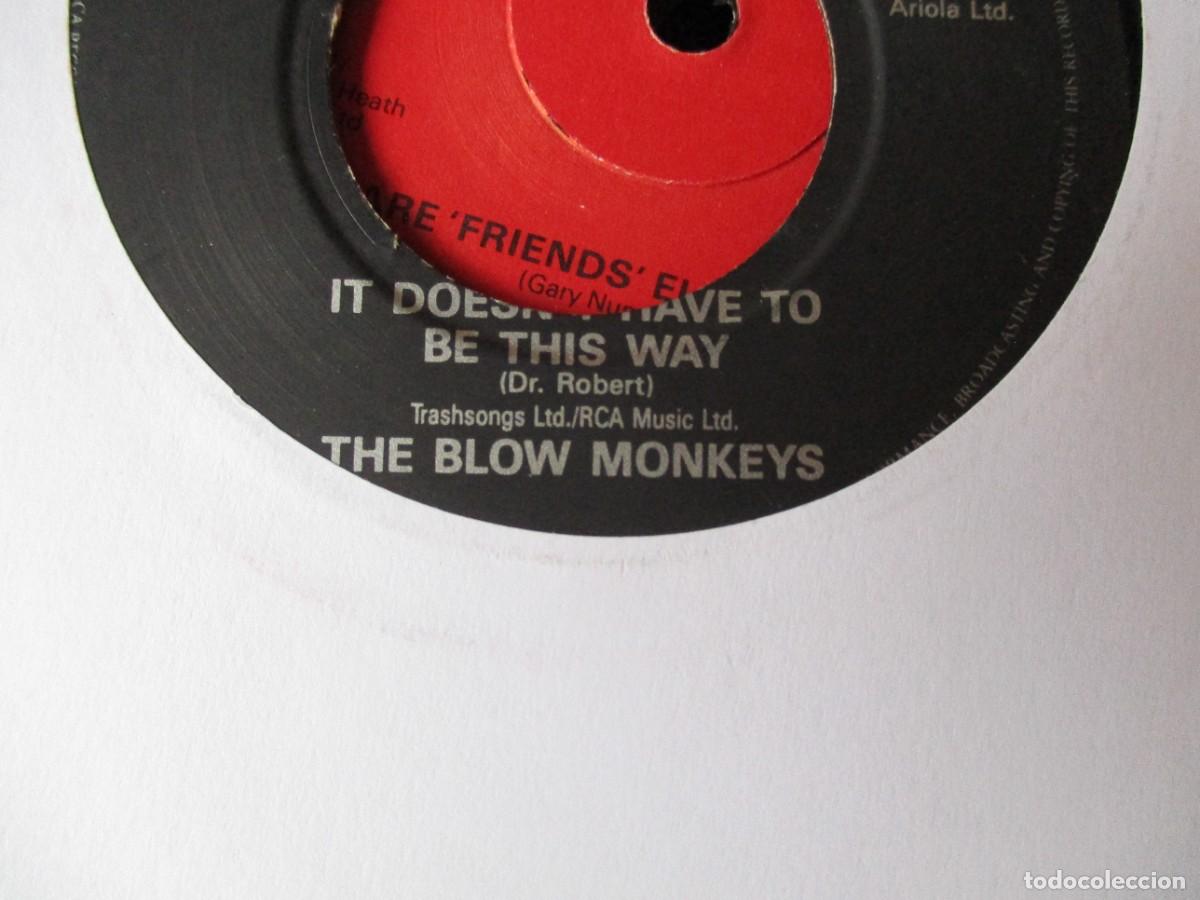 Discos de vinilo: THE BLOU MONKEYS - IT DOENS HAV TO ... - Foto 1