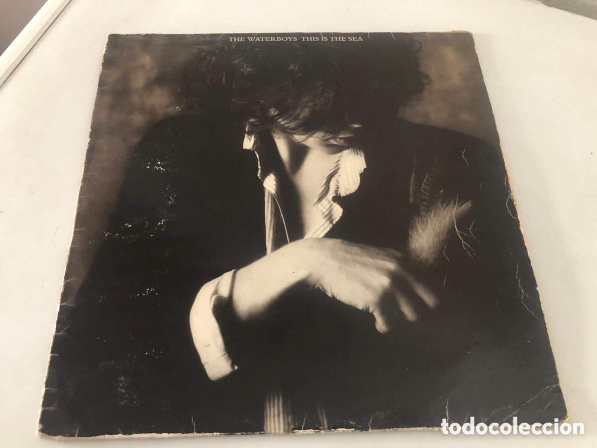 Discos de vinilo: The Waterboys This Is The Sea Lp