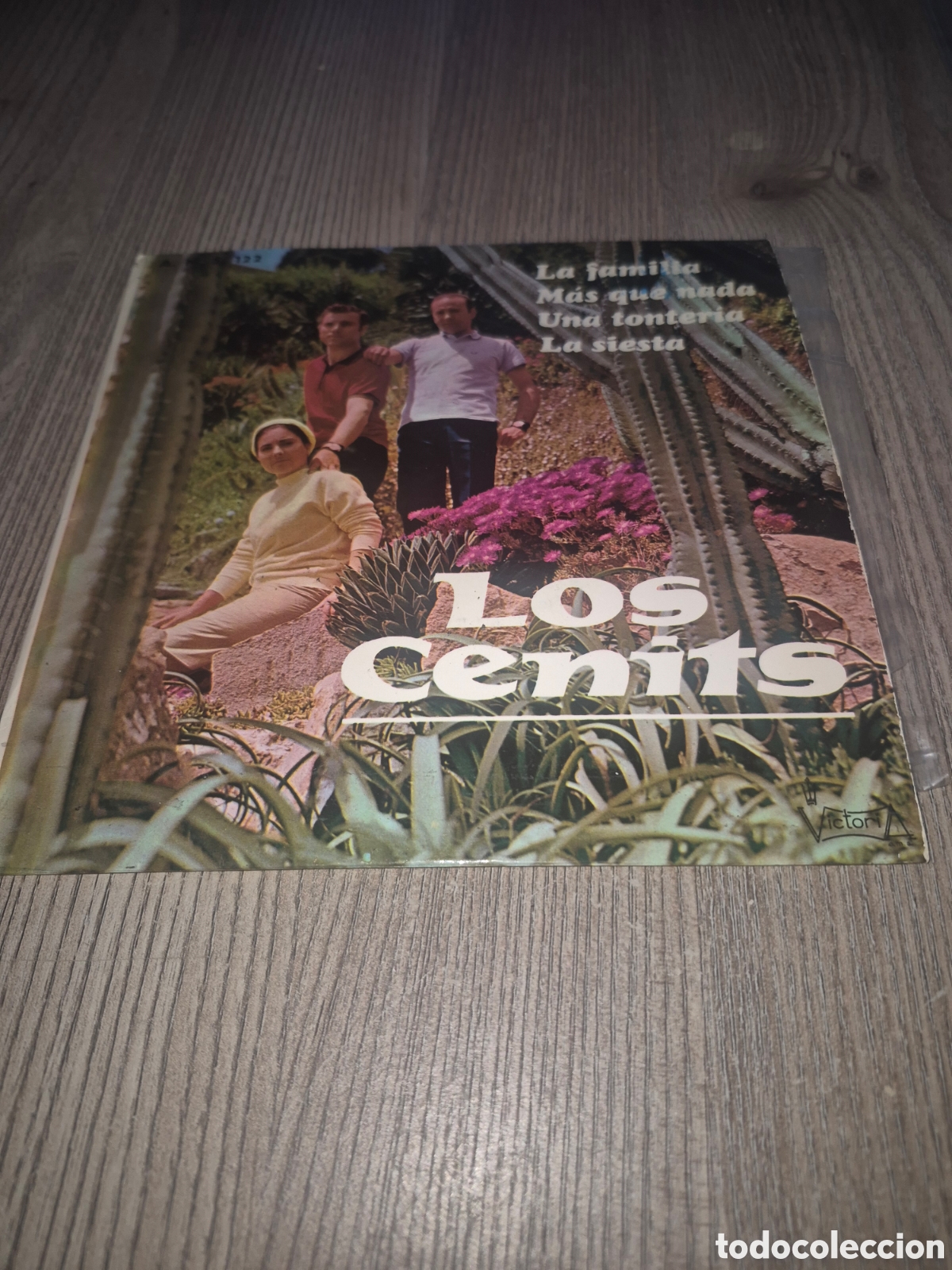 Discos de vinilo: DIFICIL SINGLE , LOS CENITS