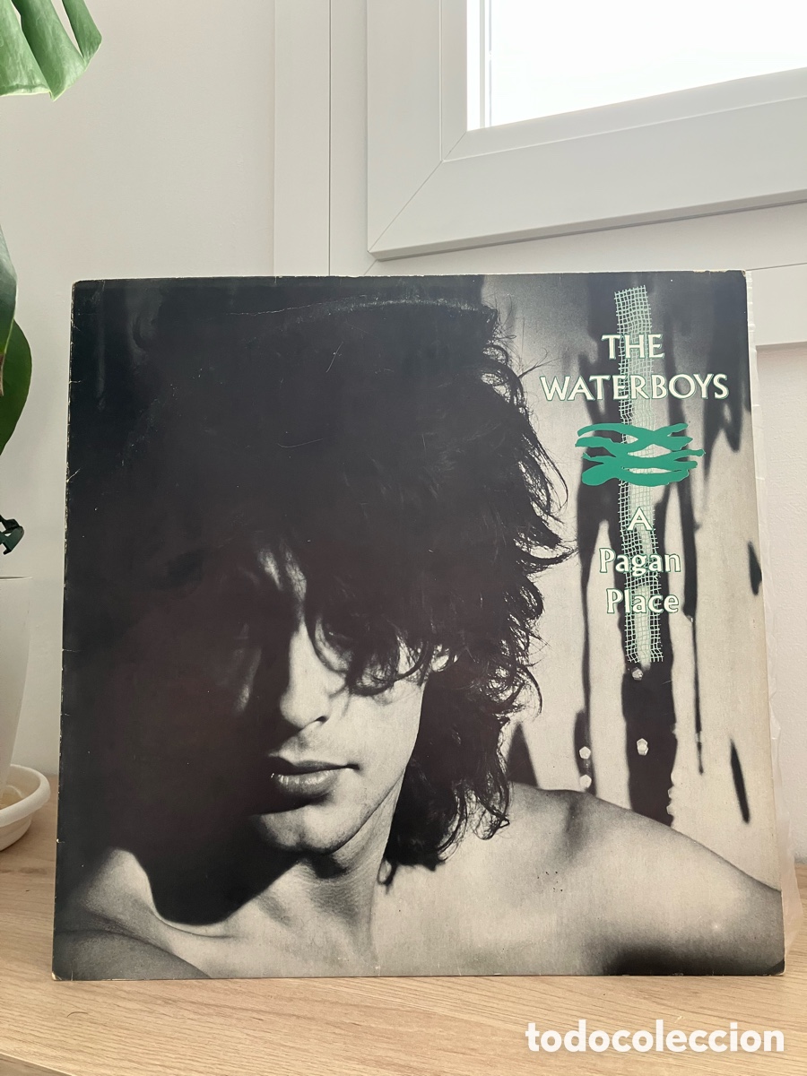 Discos de vinil: The Waterboys - A Pagan Place