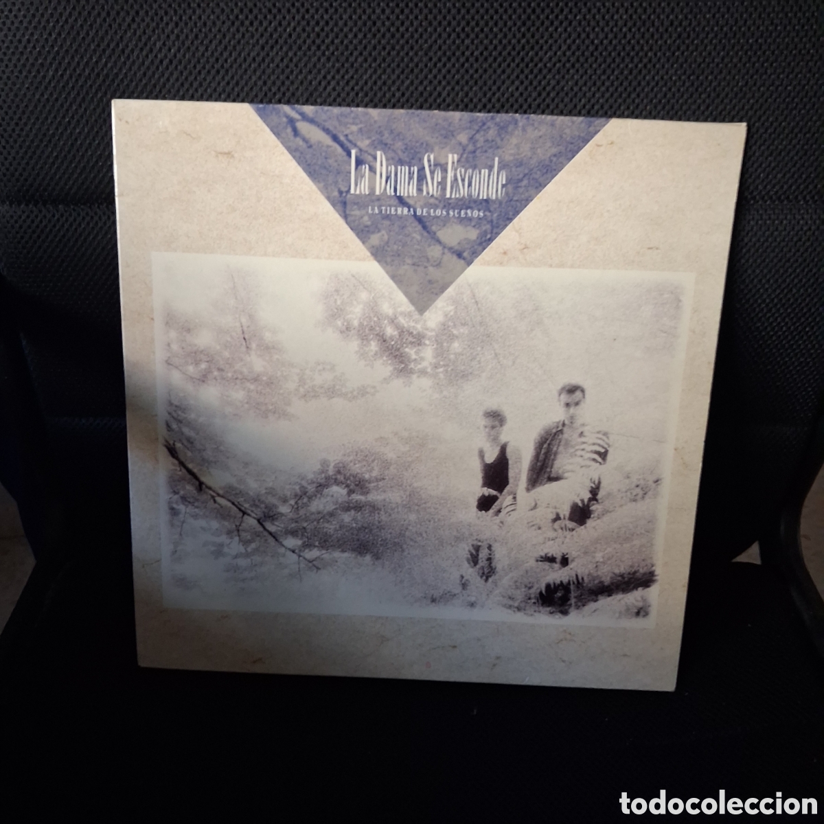 Discos de vinilo: LA DAMA SE ESCONDE LA TIERRA DE LOS SUE&Ntilde;OS