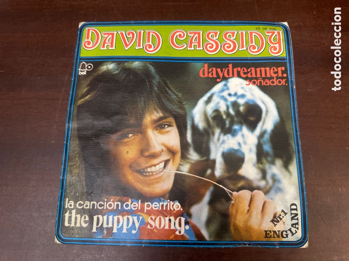 Discos de vinilo: DAVID CASSIDY - DAYDREAMER/ SO&Ntilde;ADOR- THE PUPPY SONG - SINGLE BELL DE 1973