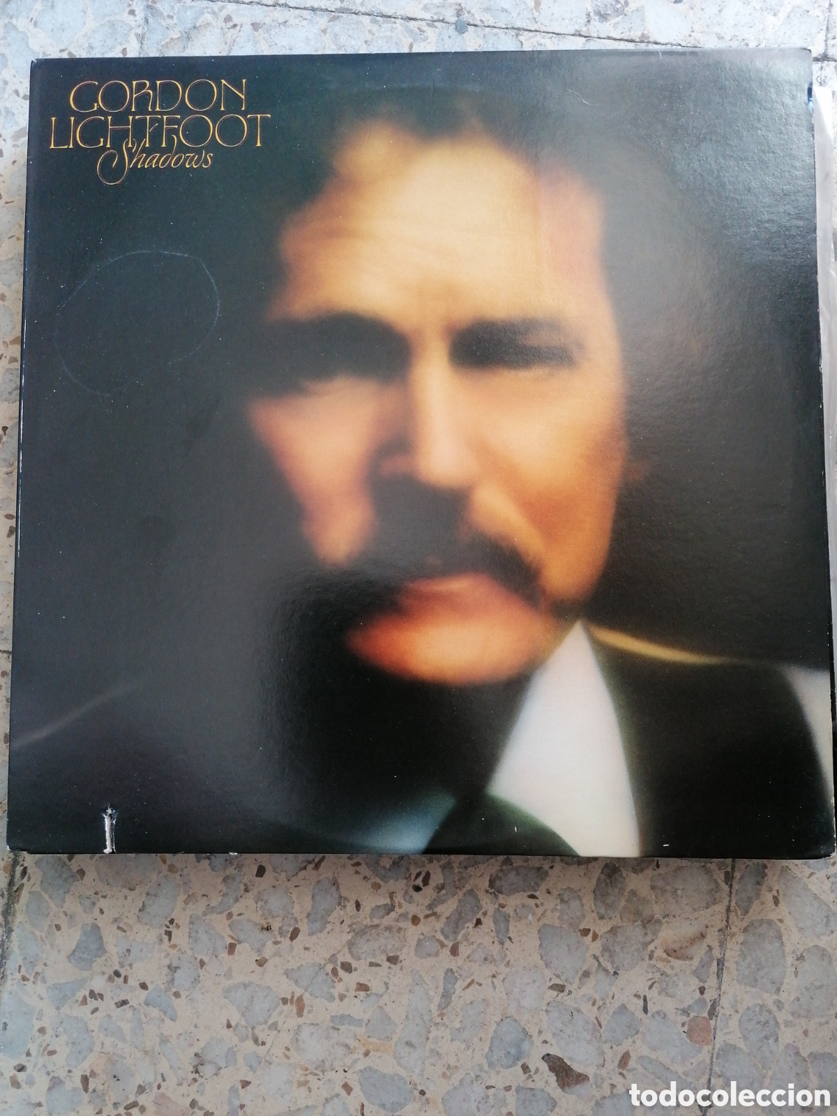 Discos de vinilo: LP GORDON LIGHTFOOT SHADOWS 1982 USA INSERT - Foto 1