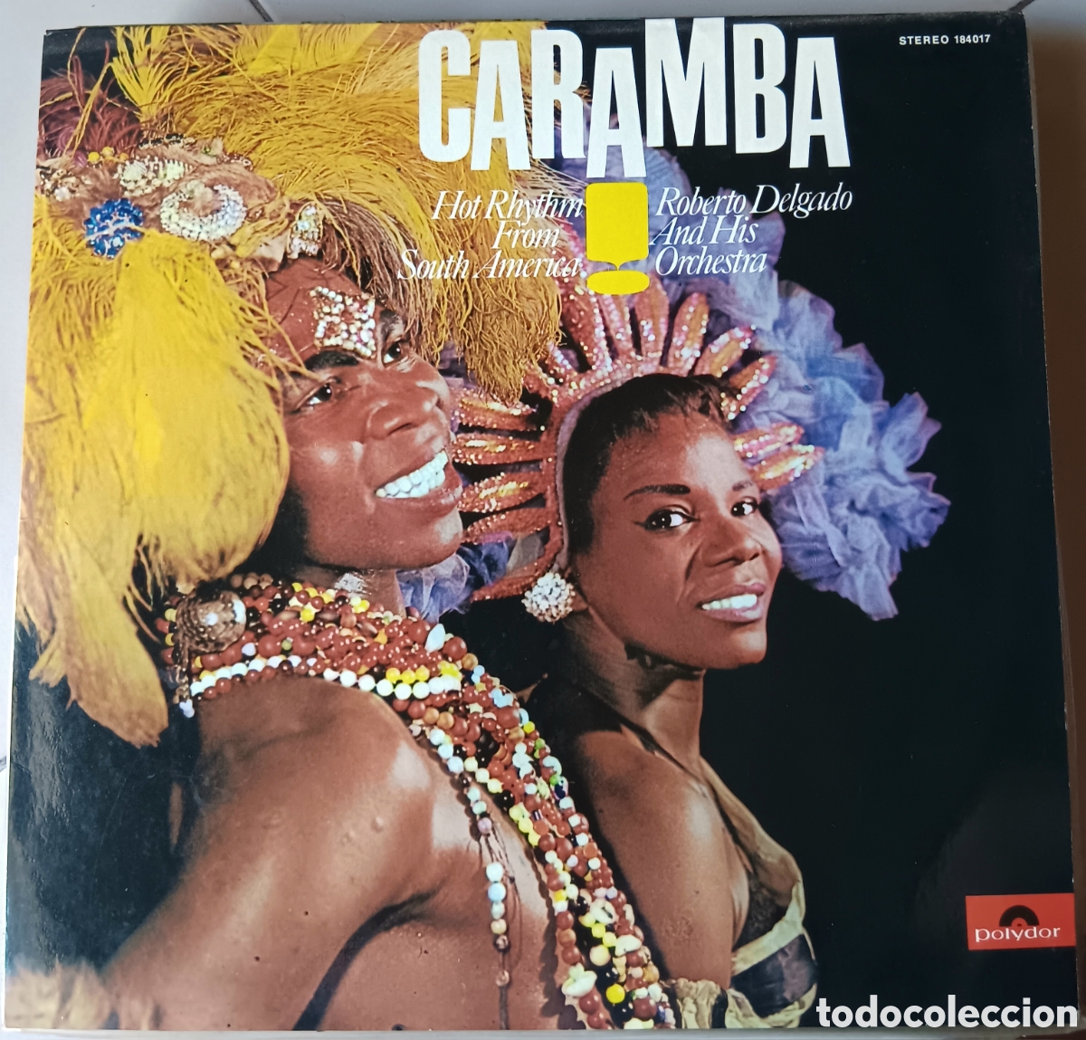 Discos de vinilo: MUSICA GOYO ● LP ● ROBERTO DELGADO ● CARAMBA ● COMO NUEVO ● AA99 X0224 ●