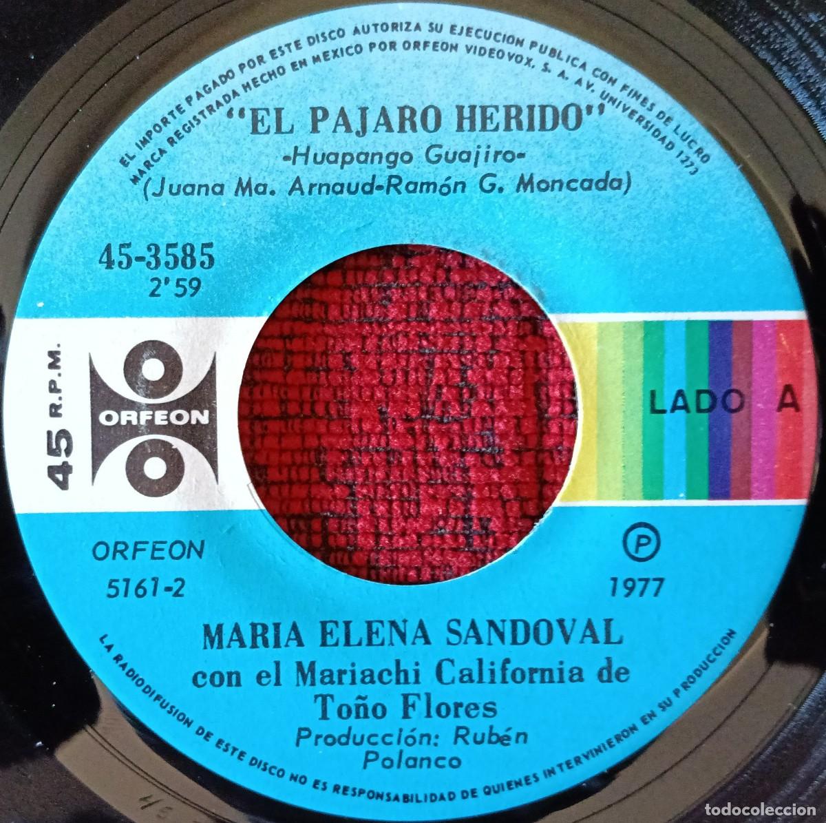 Discos de vinilo: MARIA ELENA SANDOVAL *El Pajaro Herido / En Ese Mas Alla* SINGLE VINILO 1977 MEXICO