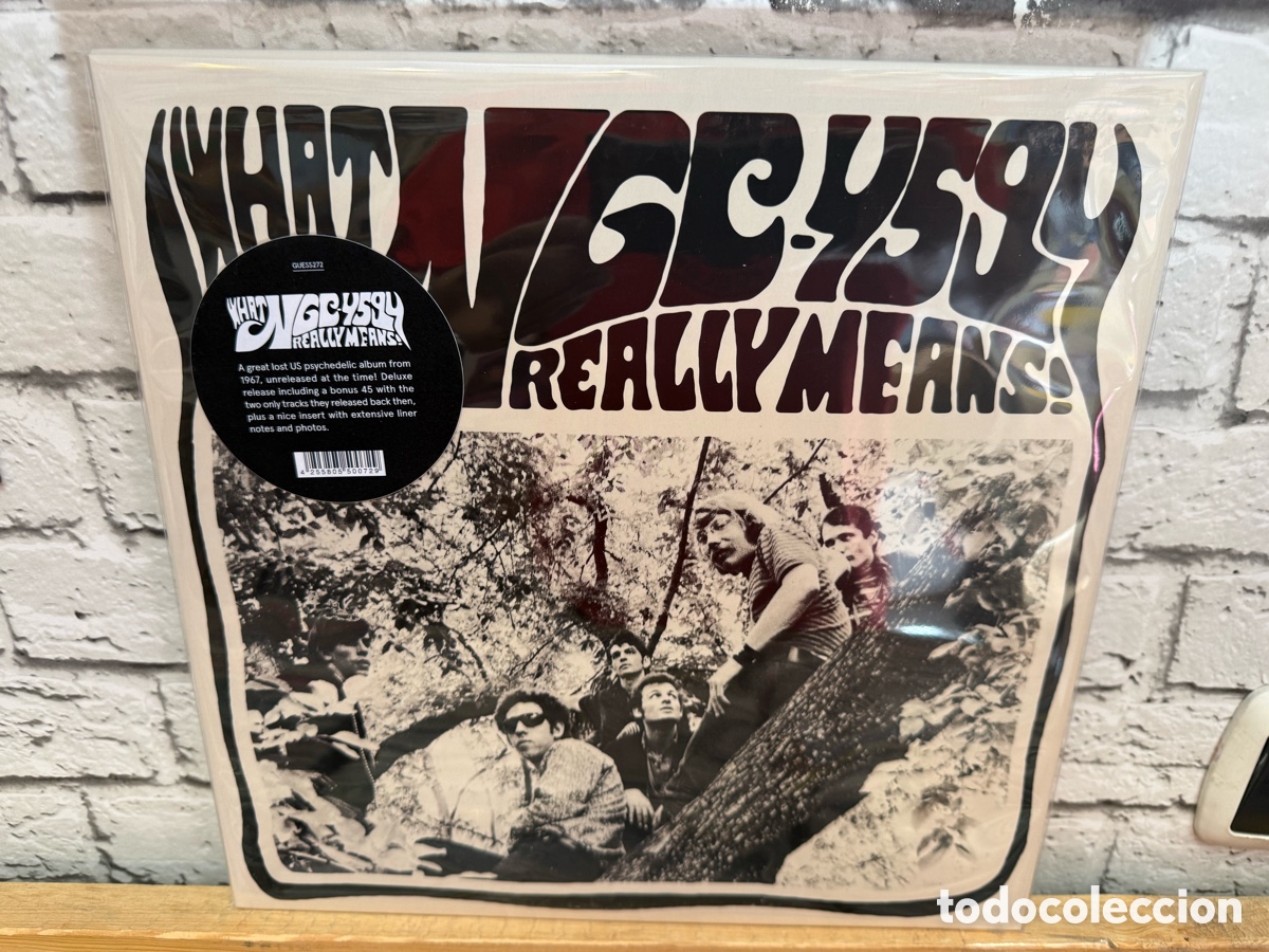 Discos de vinilo: NGC 4594 &lrm;&ndash; What NGC 4594 Really Means!. Lp vinilo precintado. Rock psicodellico 1967
