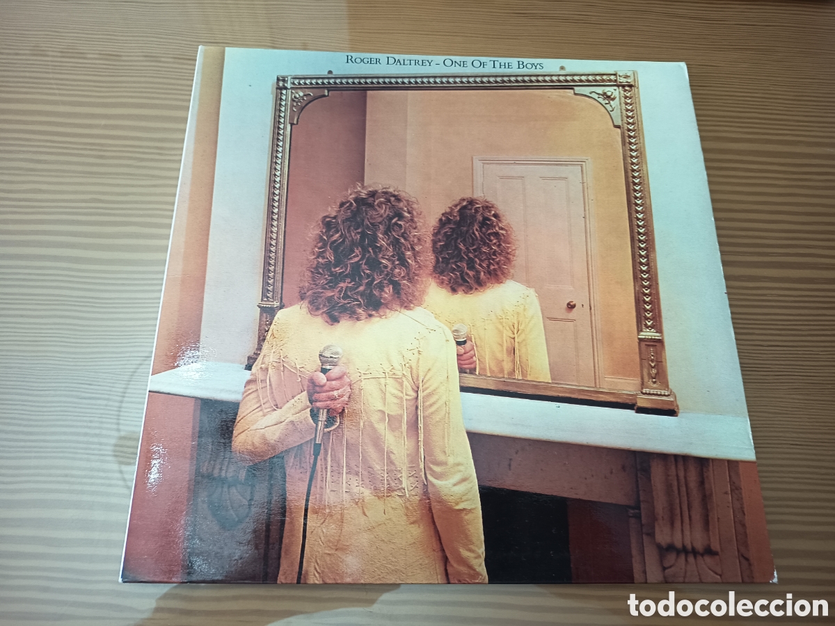 Discos de vinilo: Disco de vinilo de Roger Daltrey &rdquo; One Of THE Boys&rdquo; primera edici&oacute;n