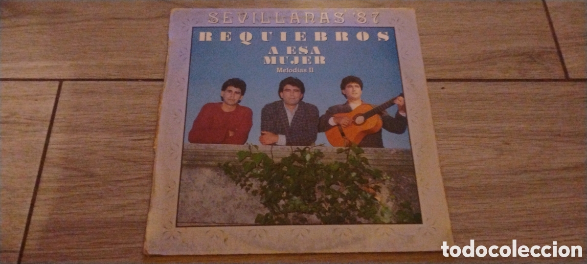Discos de vinilo: REQUIEBROS-A ESA MUJER-MELODIAS II-LP-HISPAVOX/SPAIN-IB