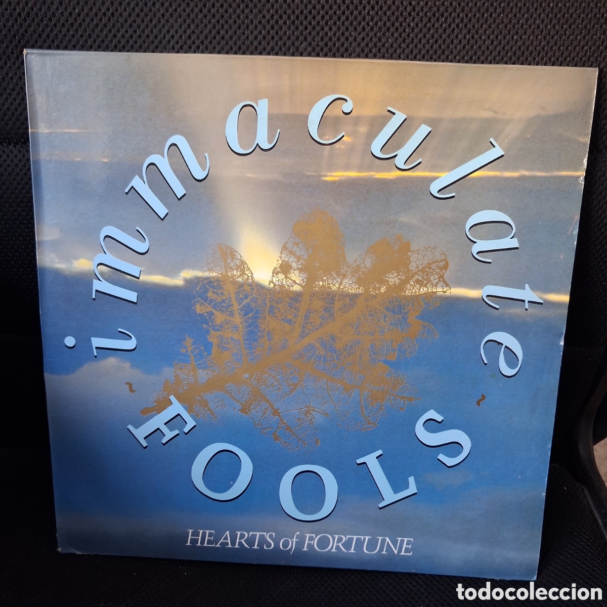 Disques de vinyle: Immaculate Fools &ndash; Hearts Of Fortune