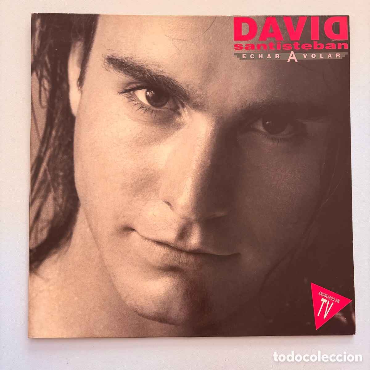 Discos de vinilo: lp David Santisteban &ndash; Echar A Volar edicion espa&ntilde;ola de 1993