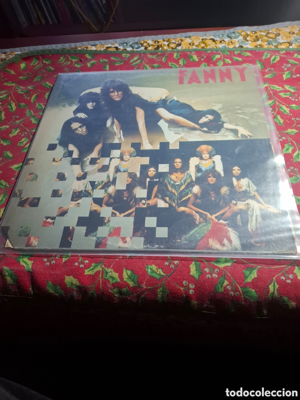 Discos de vinilo: Rock And Roll Survivors Fani Ed USA promocional