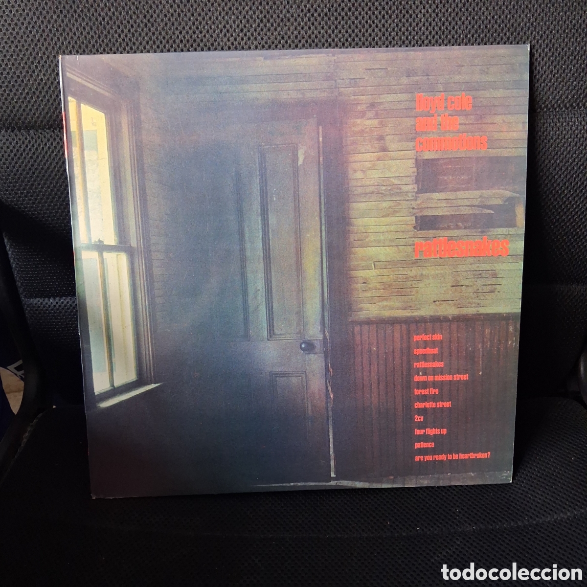 Discos de vinilo: Lloyd Cole & The Commotions &ndash; Rattlesnakes