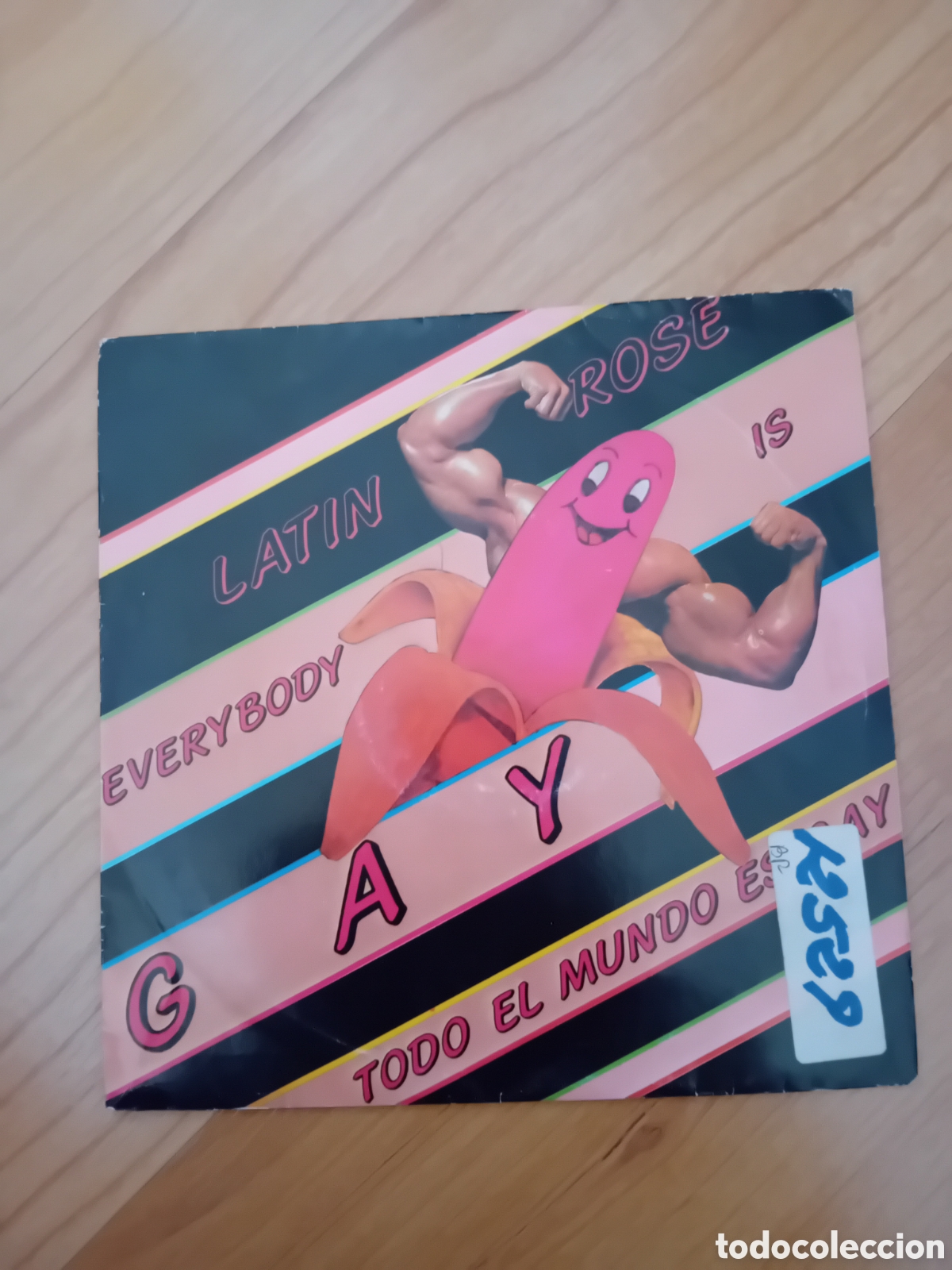 Discos de vinilo: LATIN ROSE. EVERYBODY IS GAY. TODO EL MUNDO ES GAY
