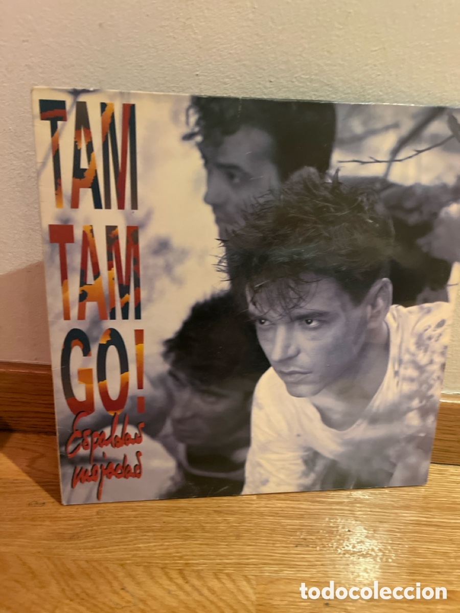 Discos de vinilo: tam tam go to espaldas mojadas