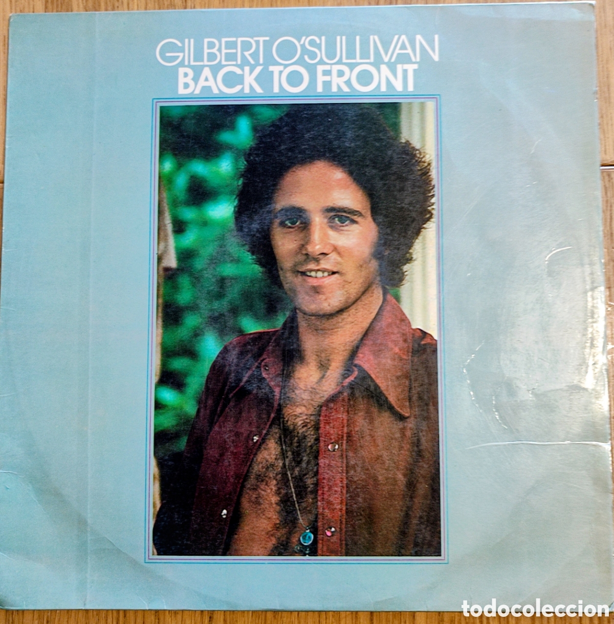 Discos de vinilo: LPS cantante internacional rock