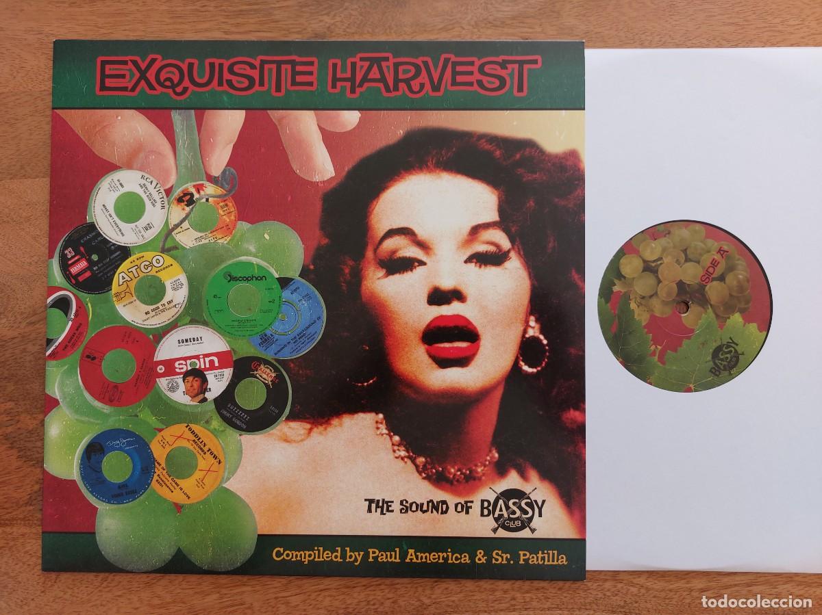 Discos de vinil: EXQUISITE HARVEST - LP - MINT * THE SOUND OF BASSY CLUB * RARE & GREAT COMPILATION