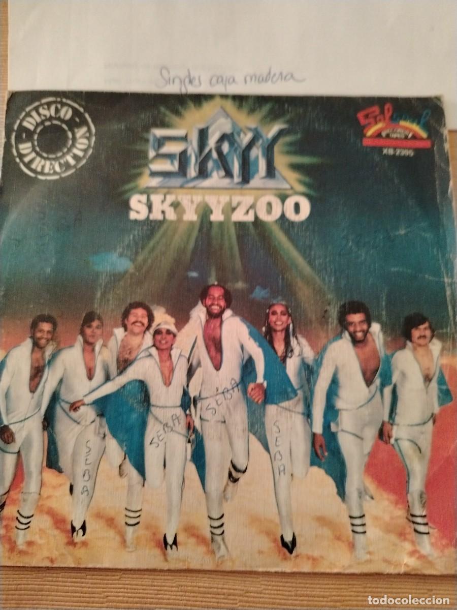Discos de vinilo: Single vinilo skyy skyyzoo