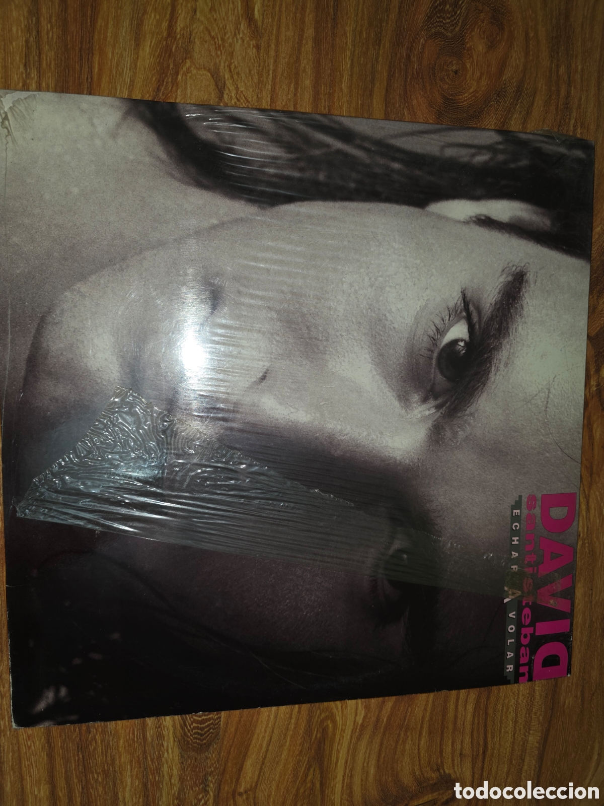 Discos de vinilo: Disco vinilo David Santisteban