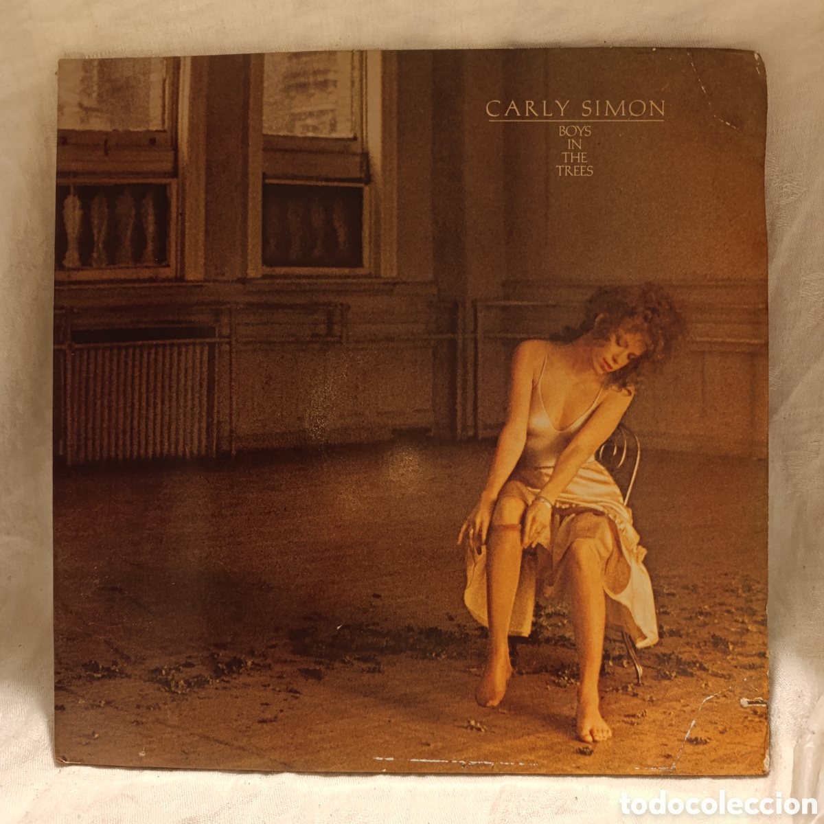 Discos de vinilo: Carly Simon, &rdquo;Boys in the Trees&rdquo; 1978