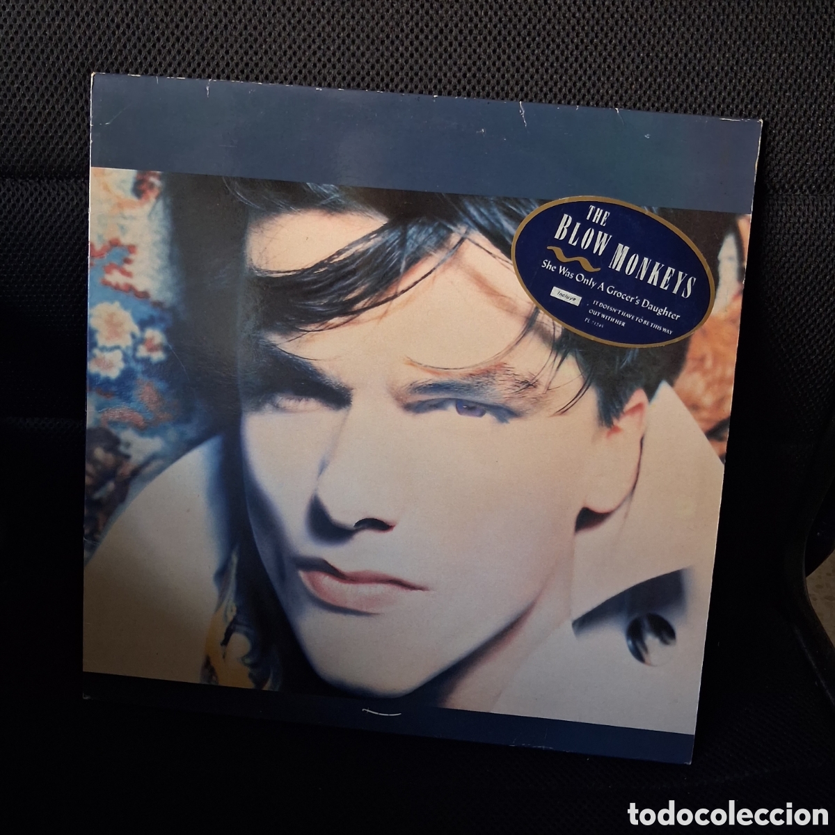 Discos de vinilo: The Blow Monkeys &ndash; She Was Only A Grocer's Daughter