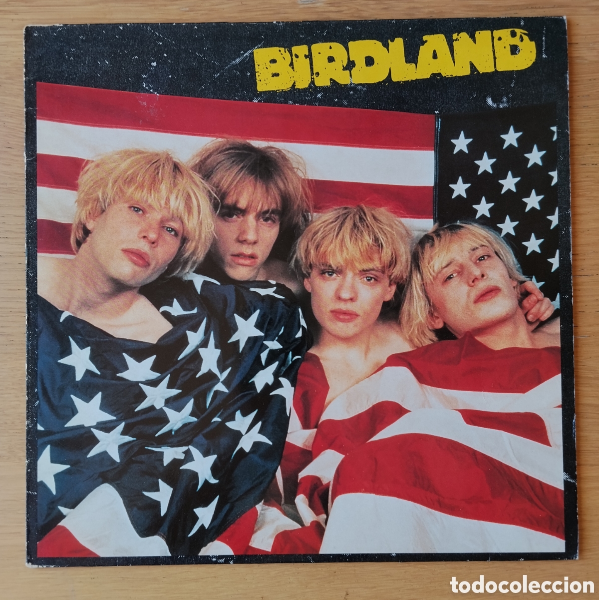 Discos de vinilo: BIRDLAND : &rdquo;BIRDLAND&rdquo; LP VINILO 1991 - INDIE ROCK