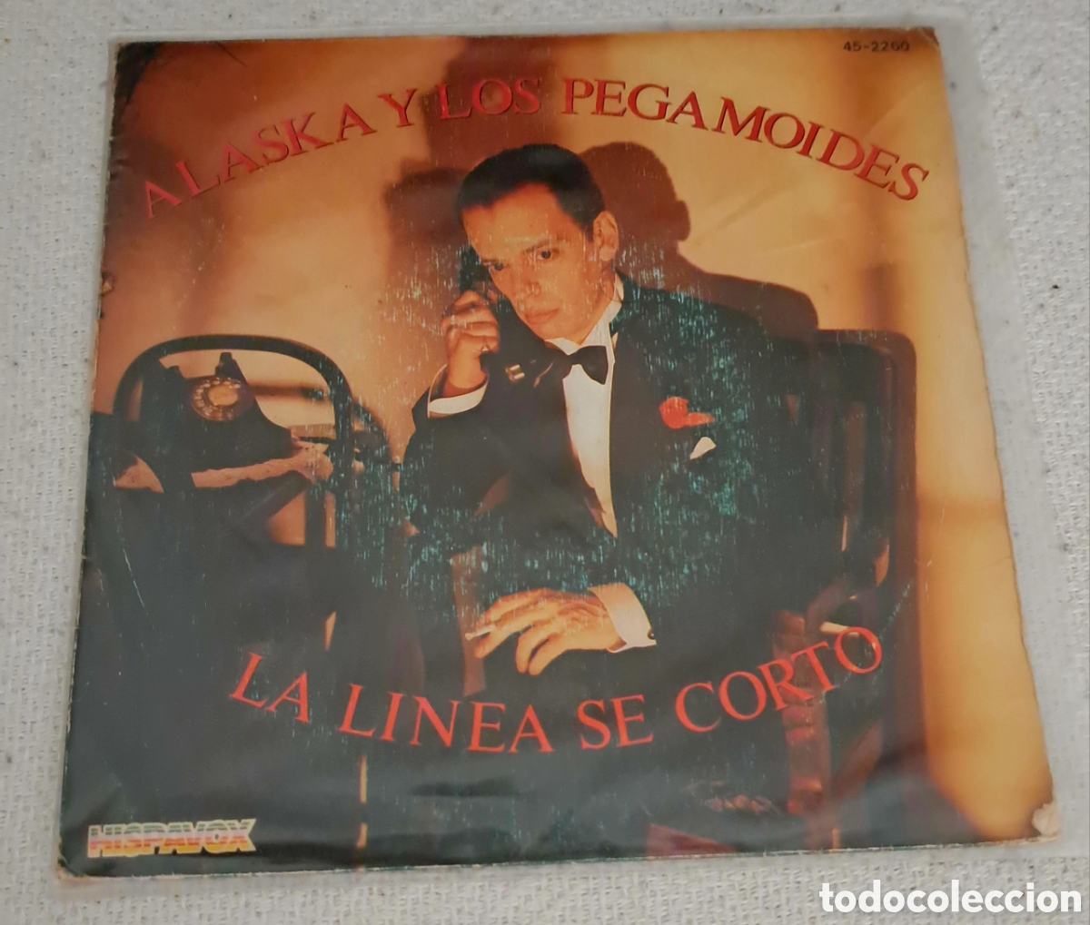 Discos de vinilo: Alaska Y Los Pegamoides