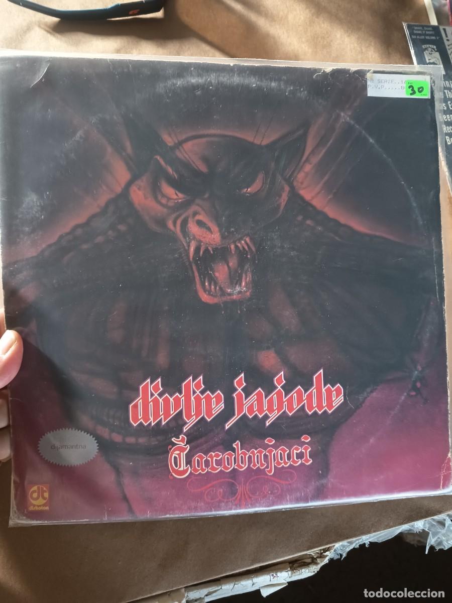 Discos de vinilo: LOTE 483, LP DiVLJE JAGODE( YUGOSLAVIA 1984)