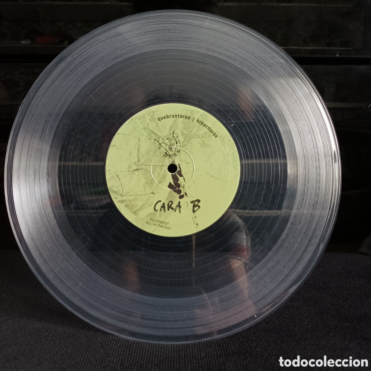 Discos de vinilo: Fillas De Cassandra - Hibernarse 10&rdquo; - Foto 3