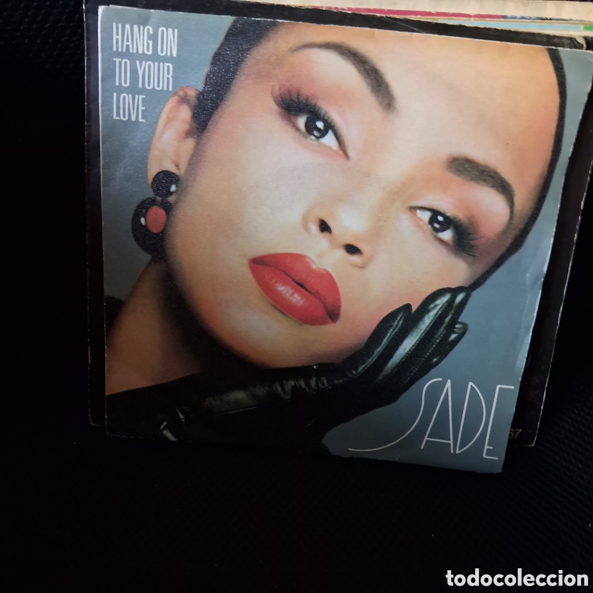 Discos de vinilo: Sade &ndash; Hang On To Your Love