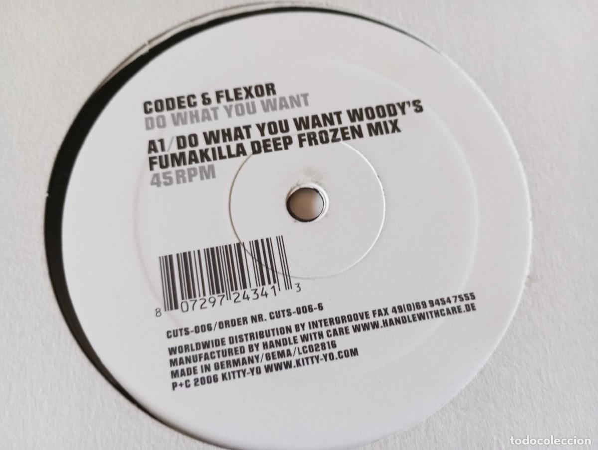Discos de vinilo: Codec & Flexor &ndash; Do What You Want - 2006