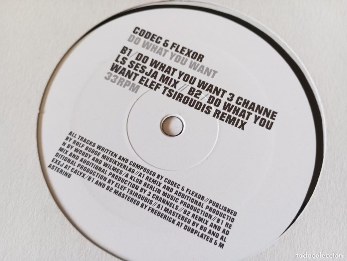 Discos de vinilo: Codec & Flexor &ndash; Do What You Want - 2006 - Foto 2
