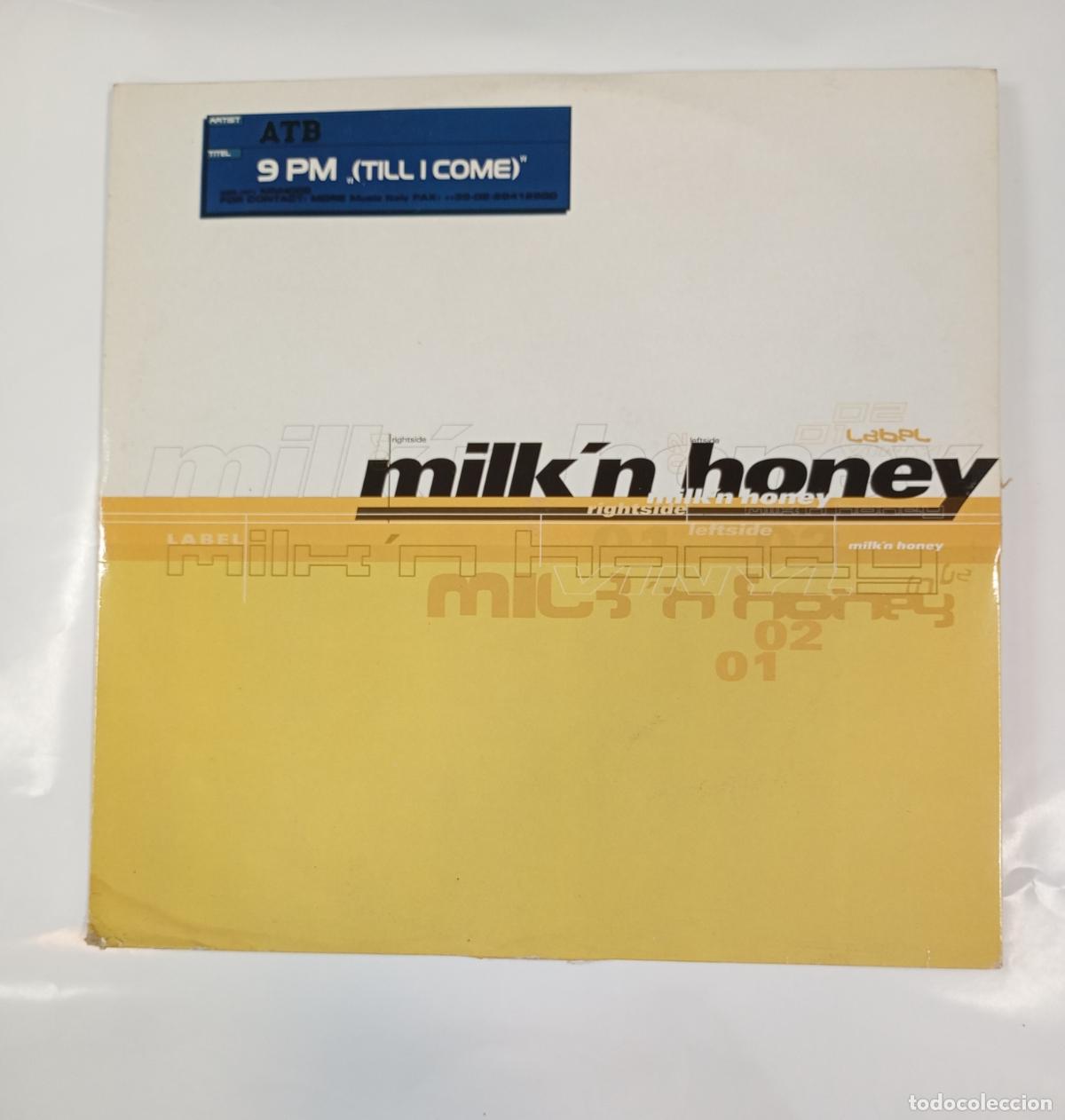 Discos de vinilo: Milk'n Honey. ATB. Maxi-Single. TDKDA38