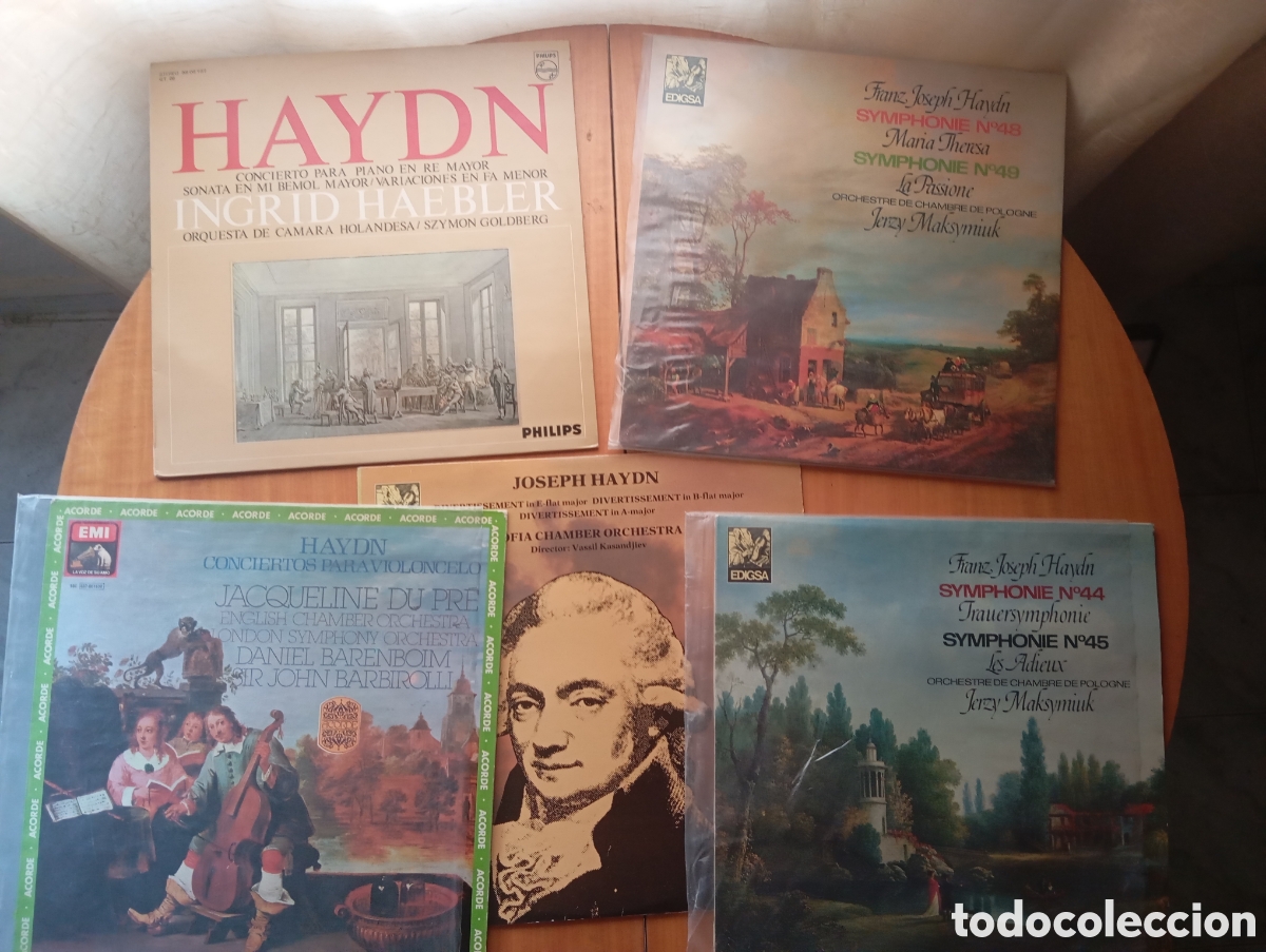 Discos de vinilo: Haydn Lote Cinco Vinilos