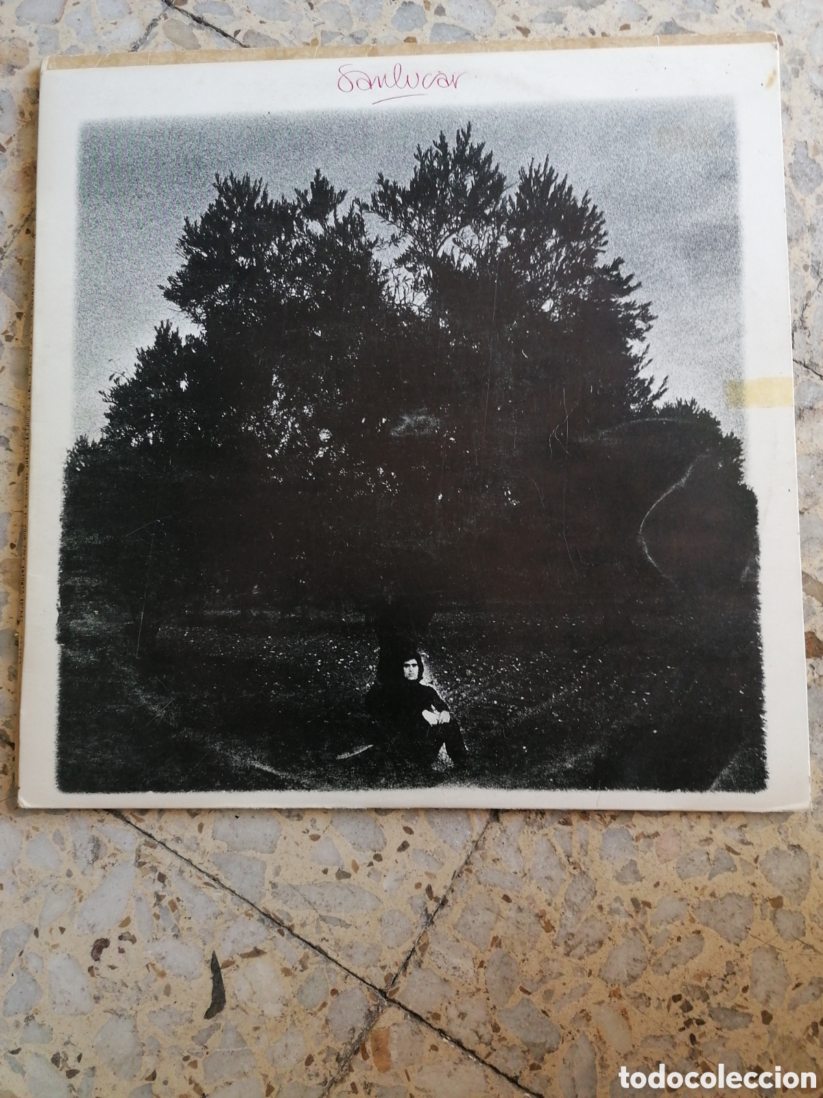 Vinyl records: LP MANOLO SANLUCAR CABALLO NEGRO 1975