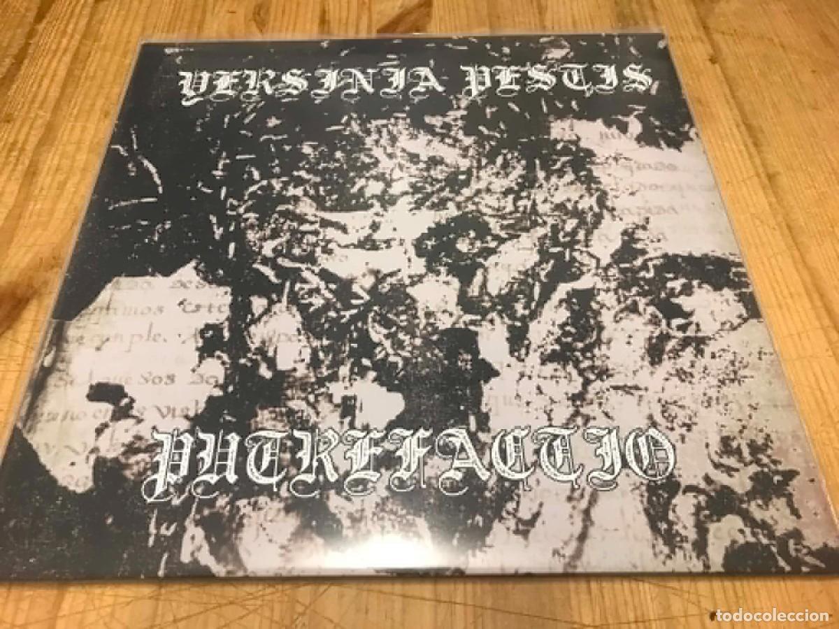 Discos de vinilo: Yersinia Pestis-- Putrefactio (LP)