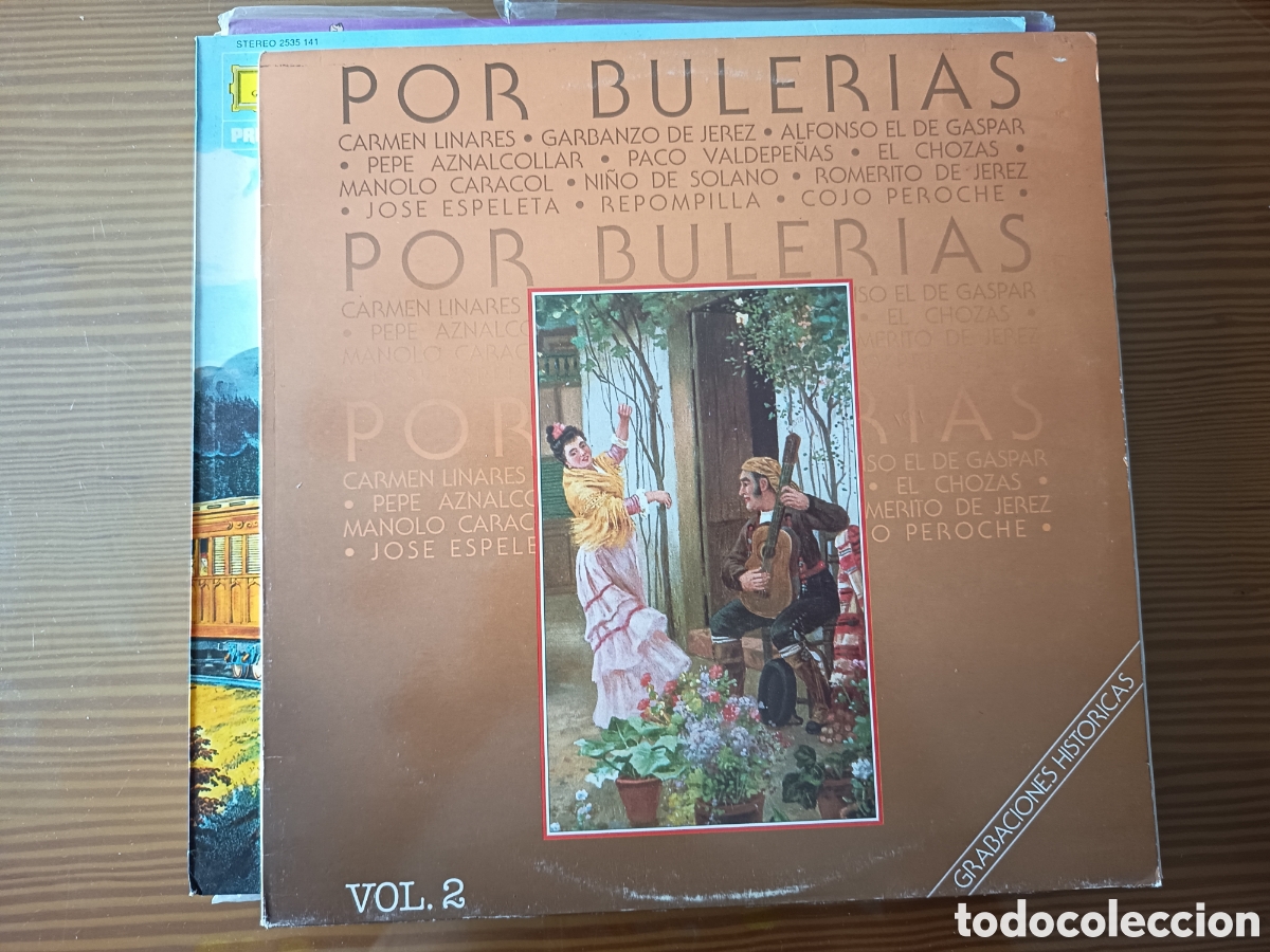 Discos de vinilo: Disco vinilo LP para PIR BULER&Iacute;AS