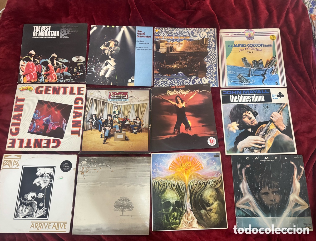 Discos de vinilo: LOTE 12 DISCOS VINILO ROCK, BLUES Y PROGRESIVO - EDICIONES DE &Eacute;POCA - Foto 1