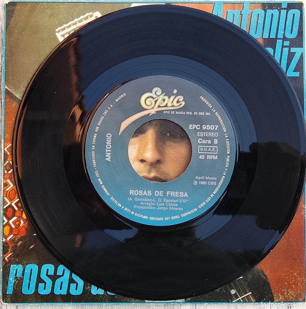 Discos de vinilo: Antonio Flores. C&aacute;liz. Vinilo single. - Foto 3