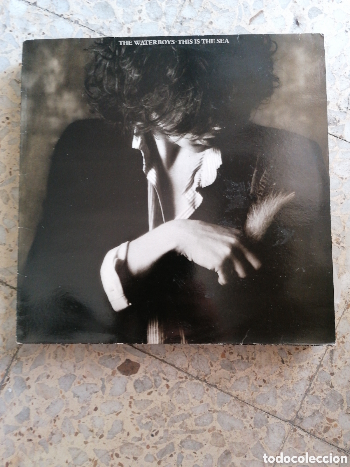 Discos de vinilo: LP THE WATERBOYS THIS IS SEA 1985 ESPA&Ntilde;A