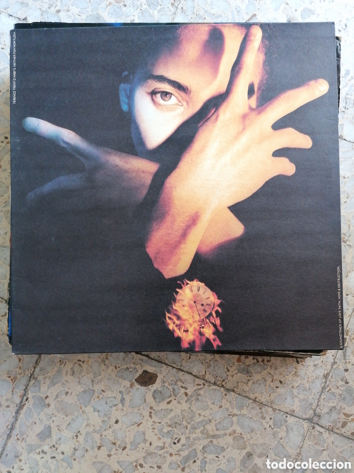 Discos de vinilo: LP TERENCE TRENT D&acute;ARBY NEITHER FISH NOR FLESH 1989 ESPA&Ntilde;A INSERT EX