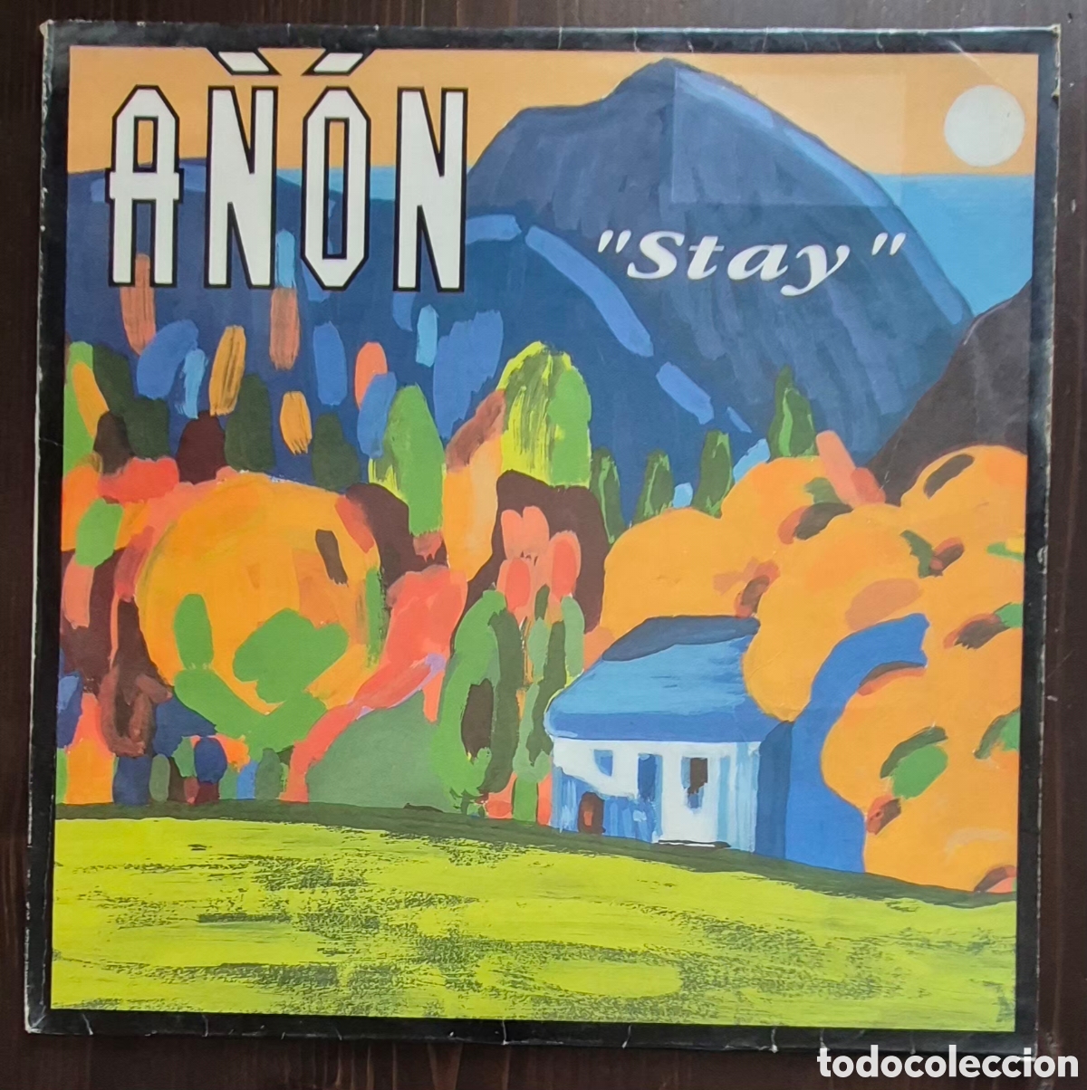 Discos de vinilo: MAXI - A&Ntilde;ON - STAY - 1992 ESPA&Ntilde;A (EURO HOUSE)