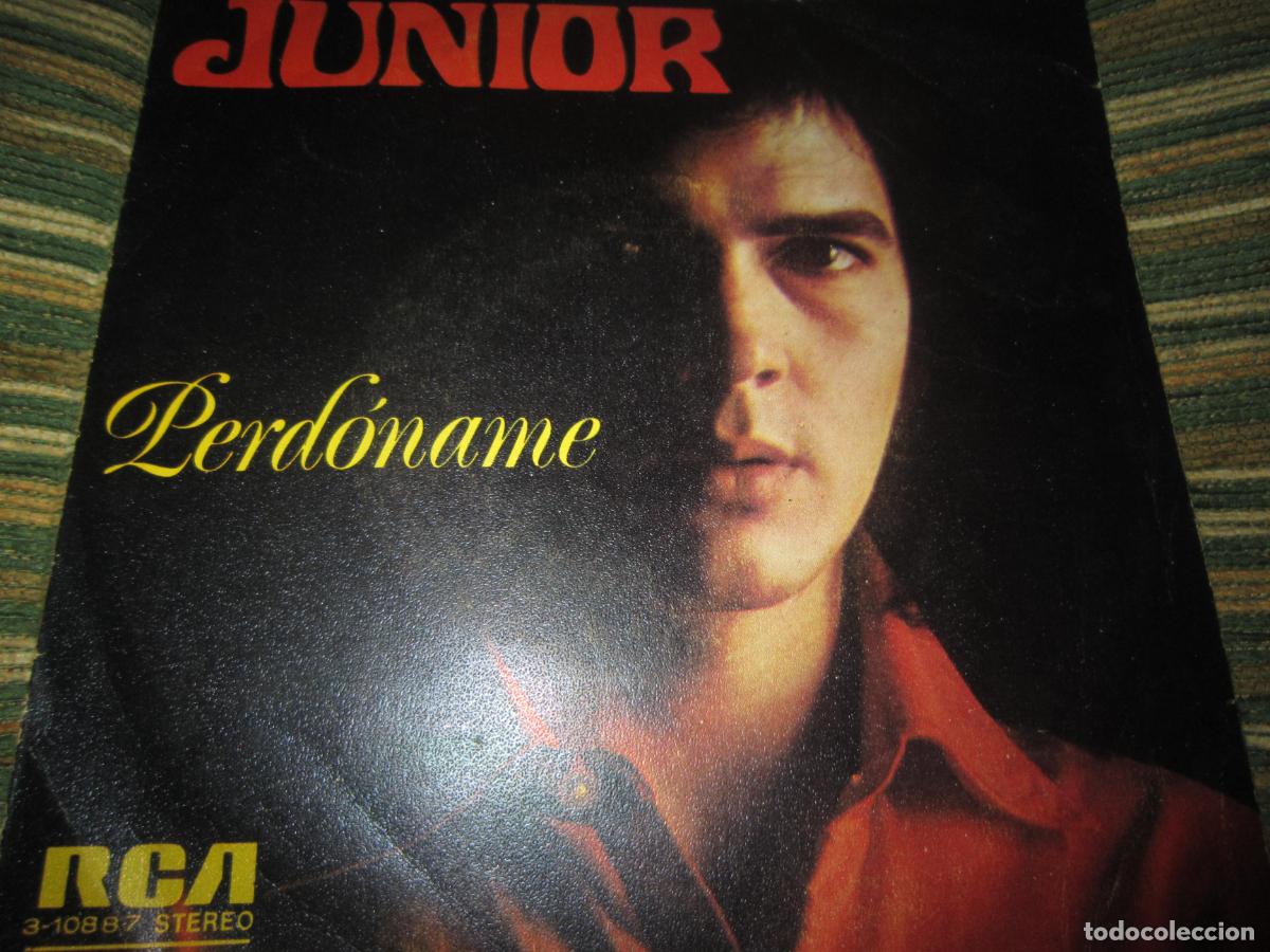Discos de vinilo: JUNIOR - PERDONAME / THE SNAKE SINGLE ORIGINAL ESPA&Ntilde;OL - RCA VICTOR RECORDS 1973 - STEREO -