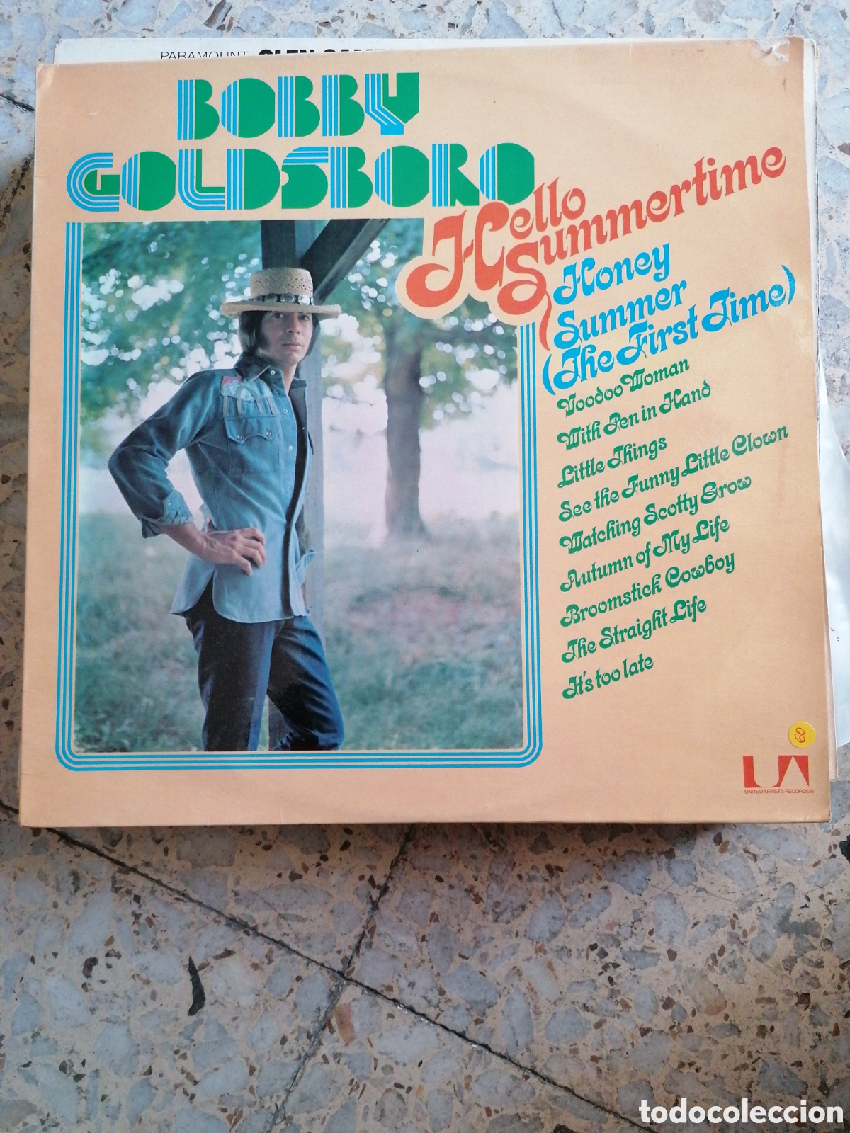 Discos de vinil: LP BOBBY GOLDSBORO HELLO SUMMERTIME 1975 UK