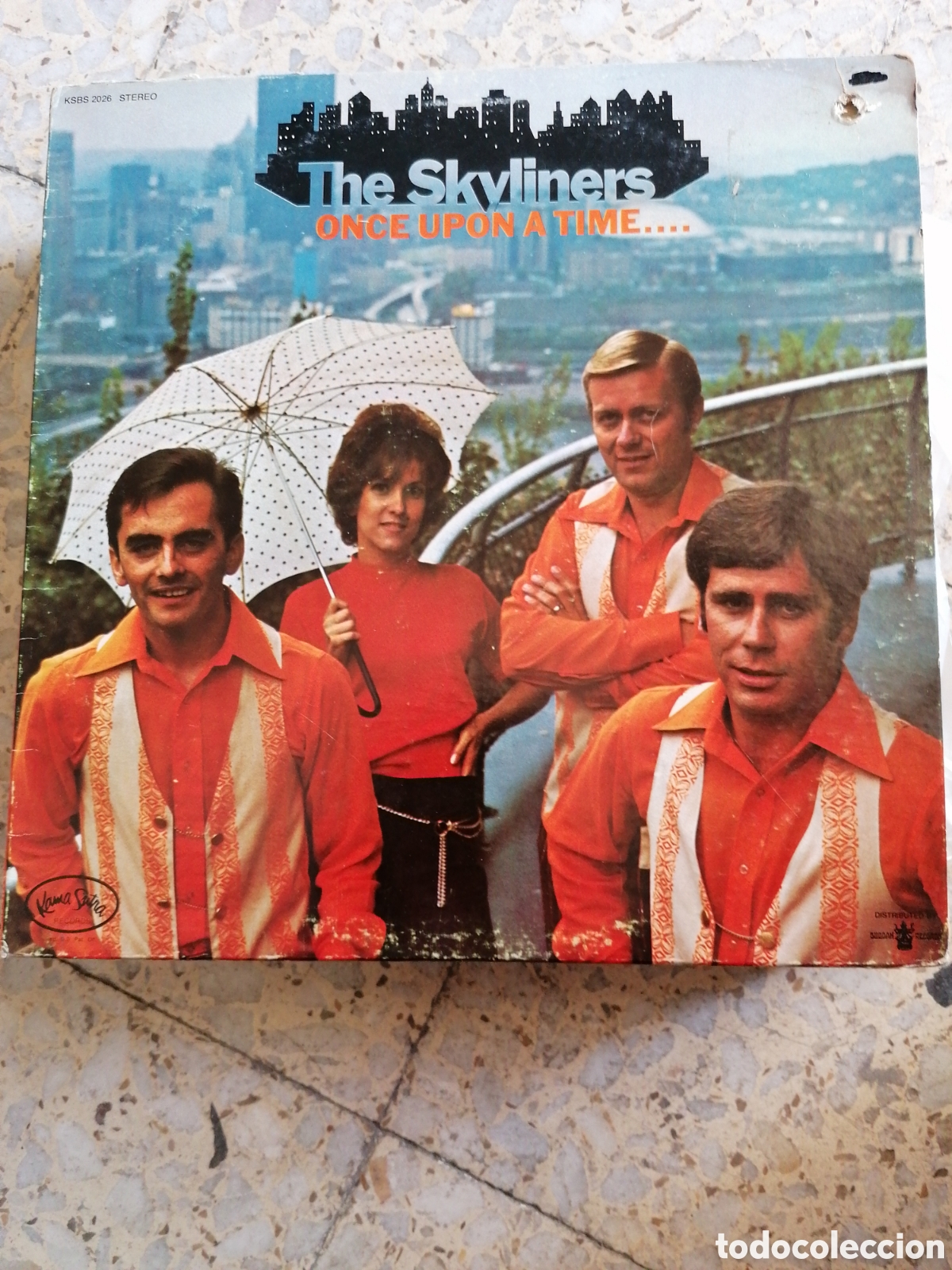 Discos de vinilo: LP THE SKYLINERS ONCE UPON A TIME 1971 USA - Foto 1